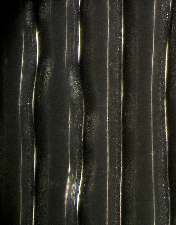Vinyl Record Grooves Magnified 1,000x DAK Industries