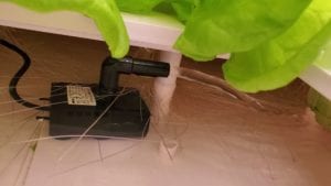 The built-in water pump oxygenates the water so the roots can absorb the oxygen they need to thrive.