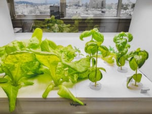 Grow 24 plants using only 3.2 square ft.